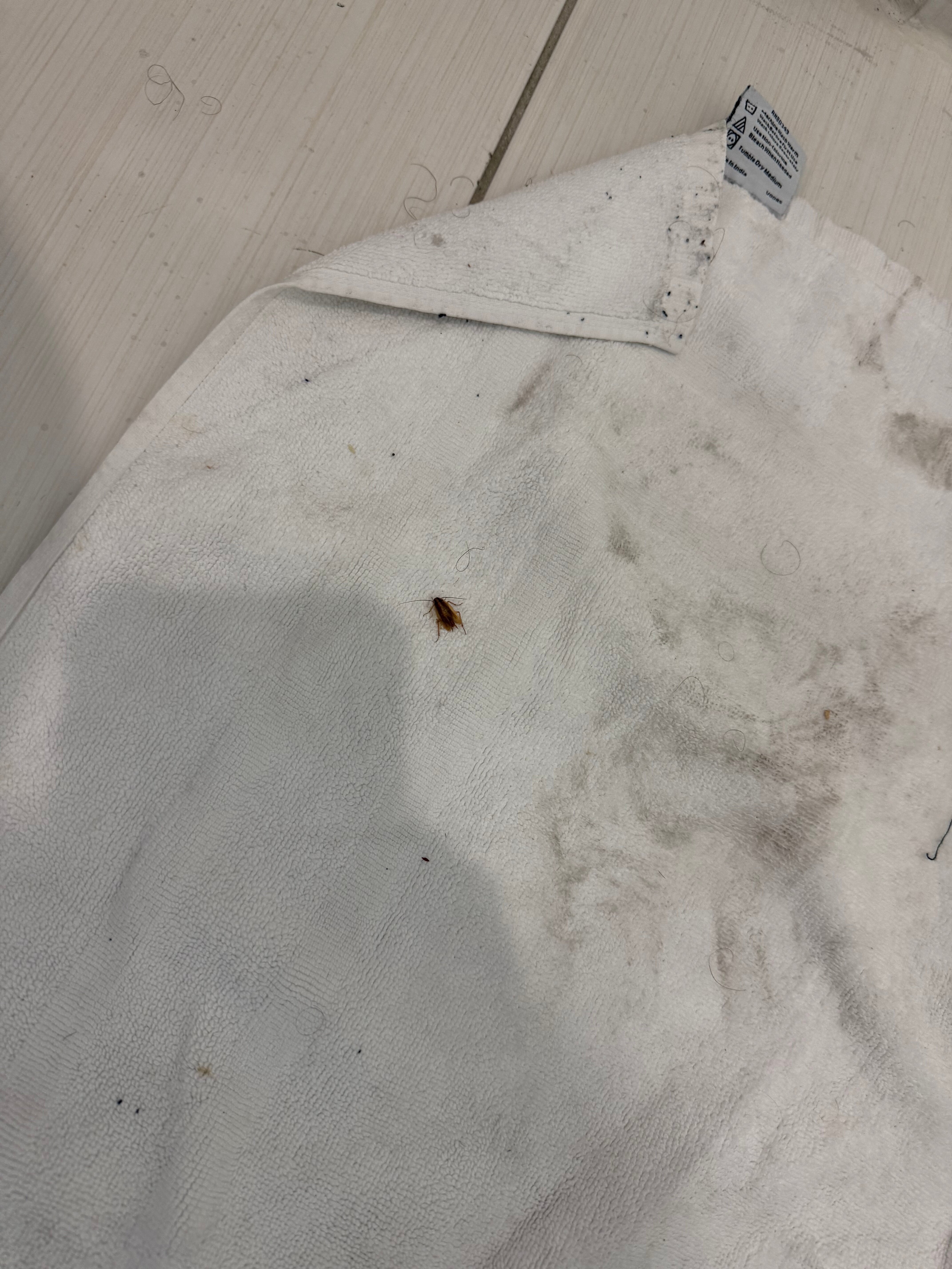 Provident Doral at the Blue Miami-浴室