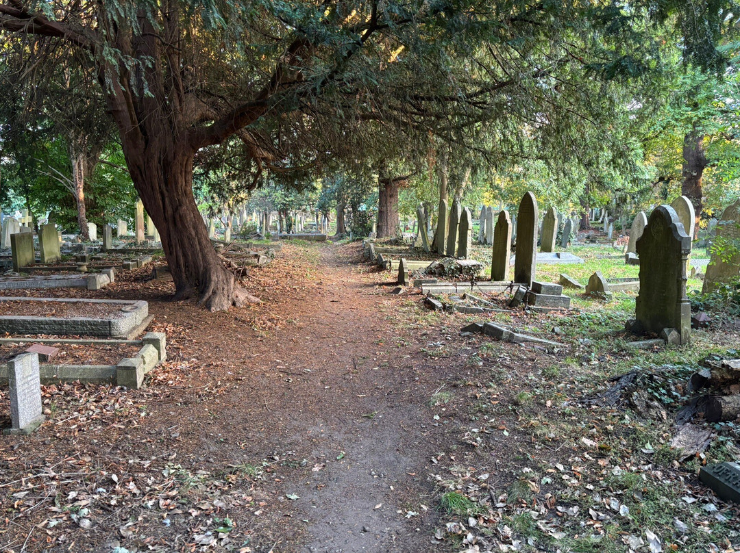 The George Public House