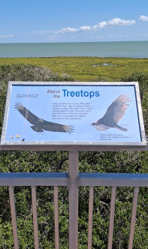 Aransas National Wildlife Refuge-Austwell必去景点