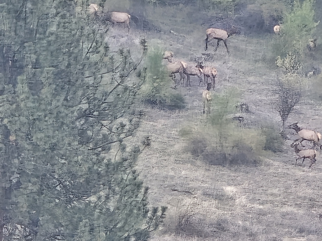 Hammer Down River Excursions-White Bird必去景点