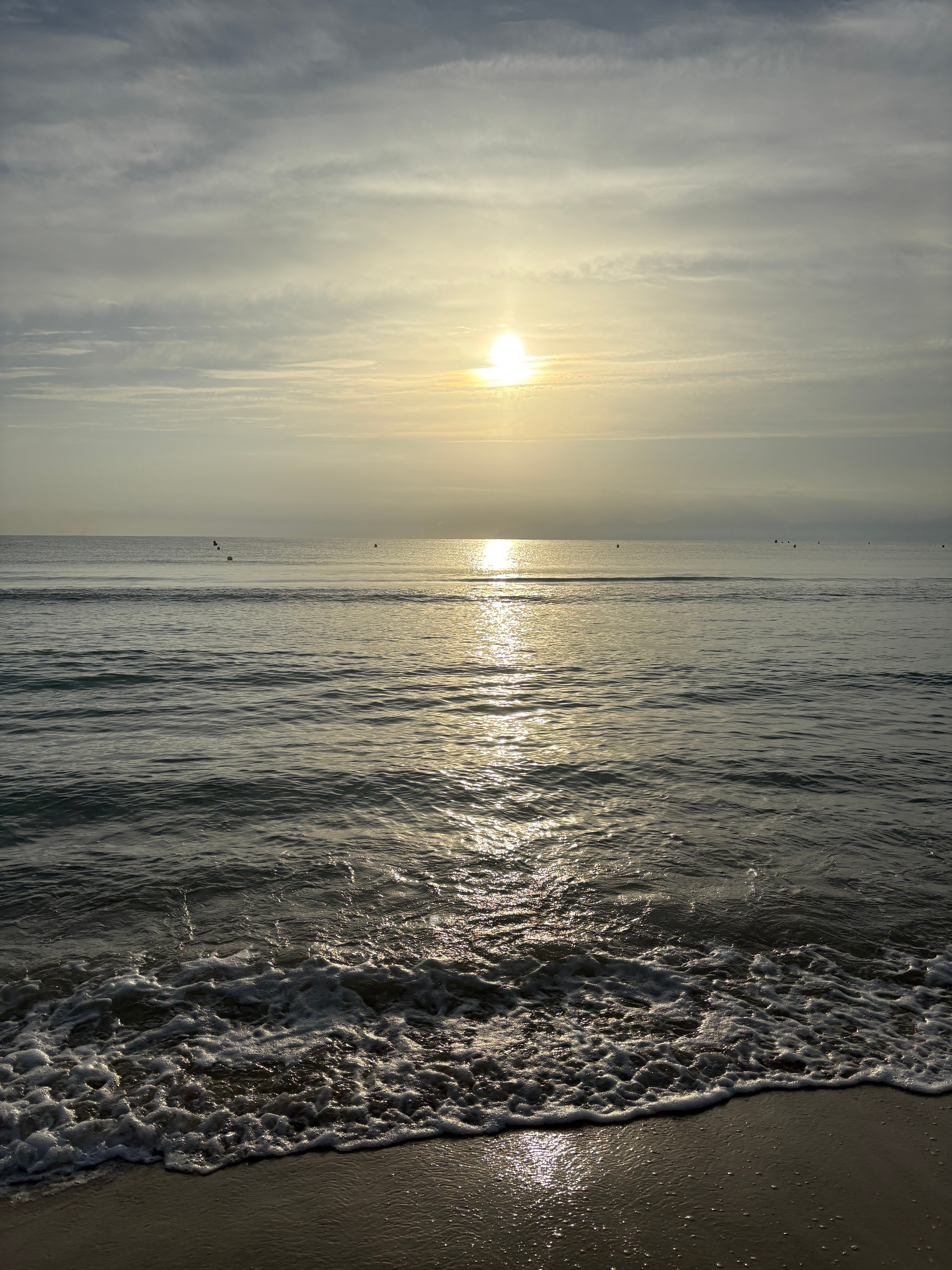 加维奥塔斯套房酒店-官方