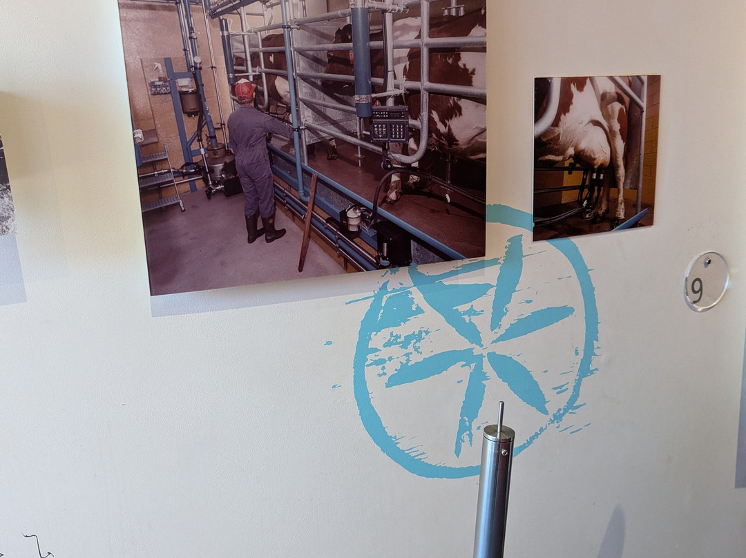 La Maison du Gruyère-格吕耶尔必去景点