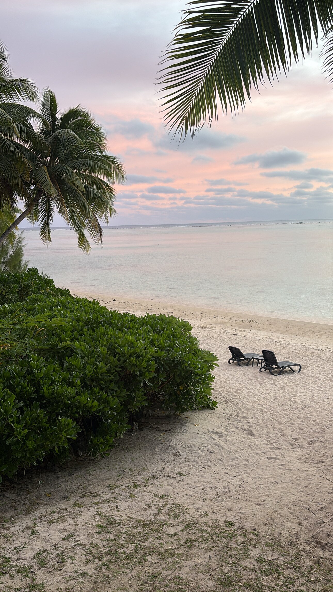 Aitutaki Beach Villas-官方