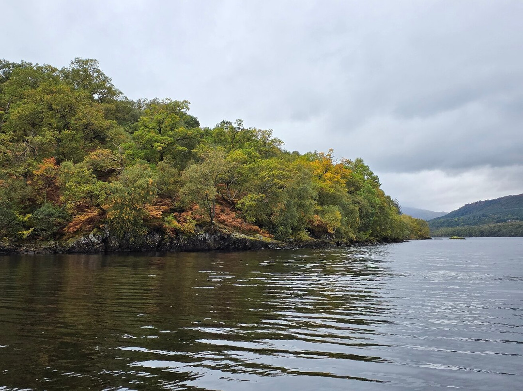 Loch Tay Safaris-Kenmore必去景点