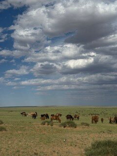 Sunpath Mongolia-乌兰巴托必去景点