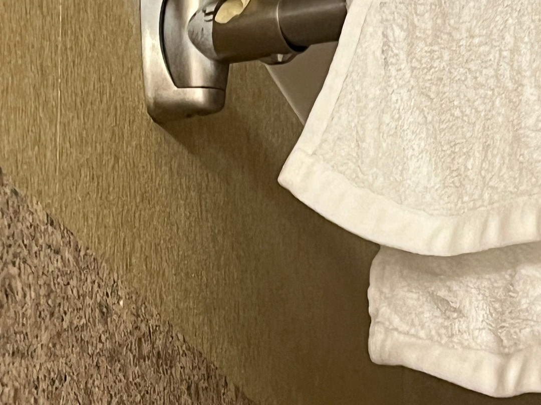 Wingate by Wyndham Coon Rapids主图