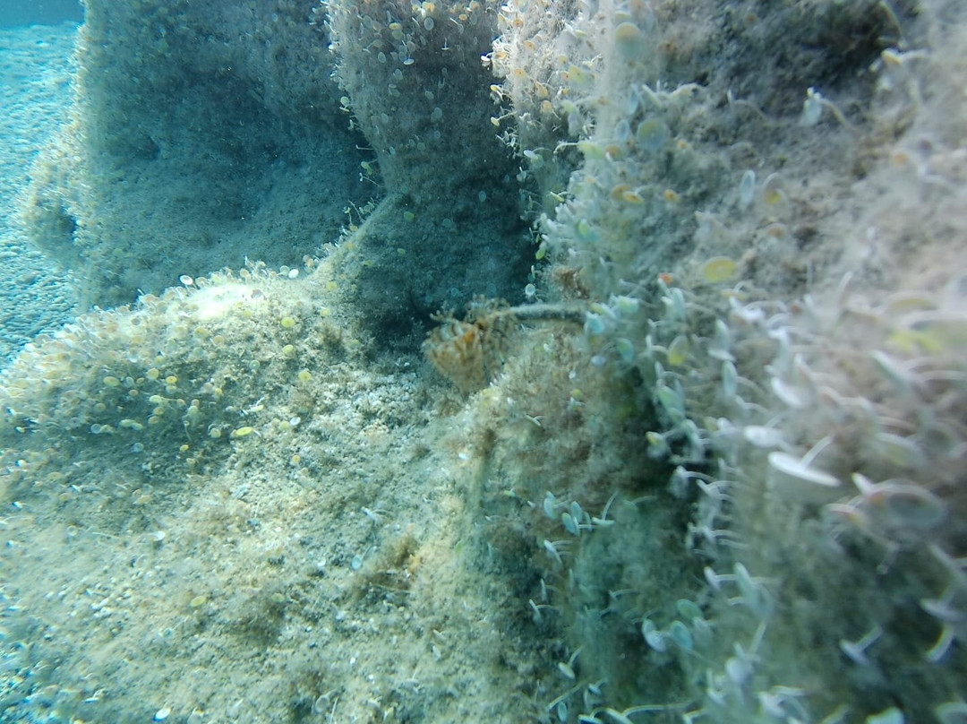 Diving 220 bar