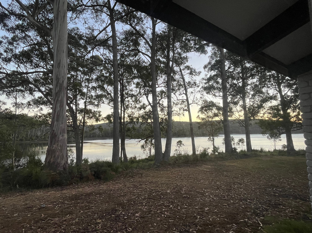 狐狸和猎犬酒店主图