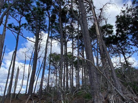 Great Escapes Kayak Expeditions-美特尔海滩必去景点