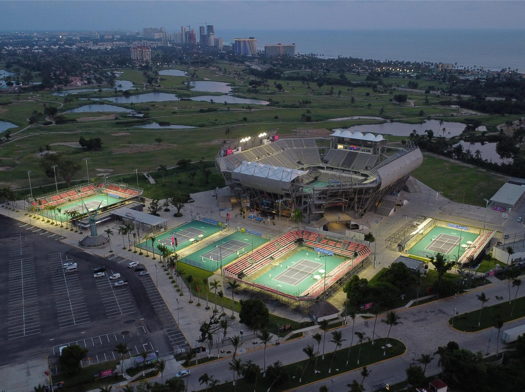 阿卡普尔科酒店住宿-Princess Mundo Imperial