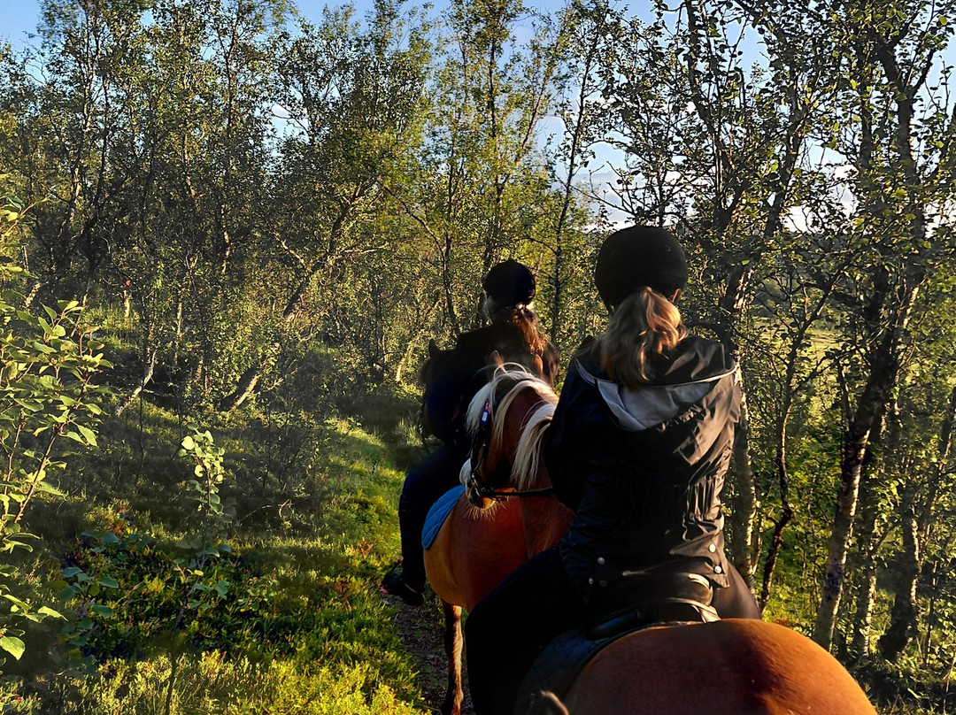 Tromsø Turhest As-Kvaloya必去景点