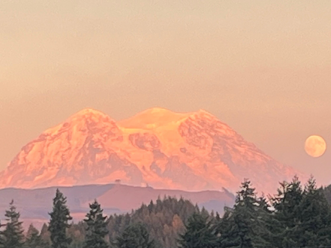 Mill Village Motel Eatonville主图