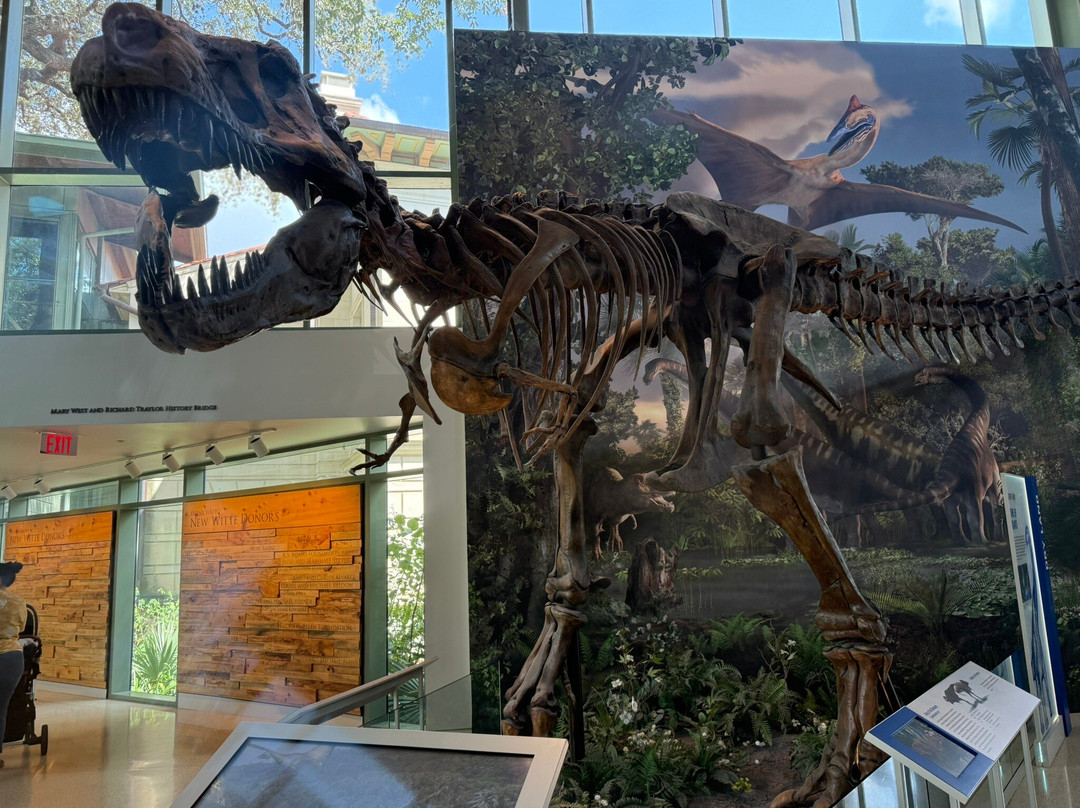 威特博物馆-圣安东尼奥市必去景点