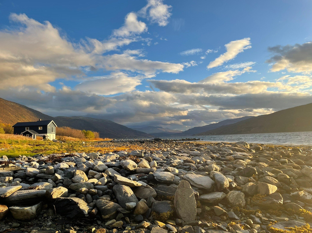 Arctic FjordCamp