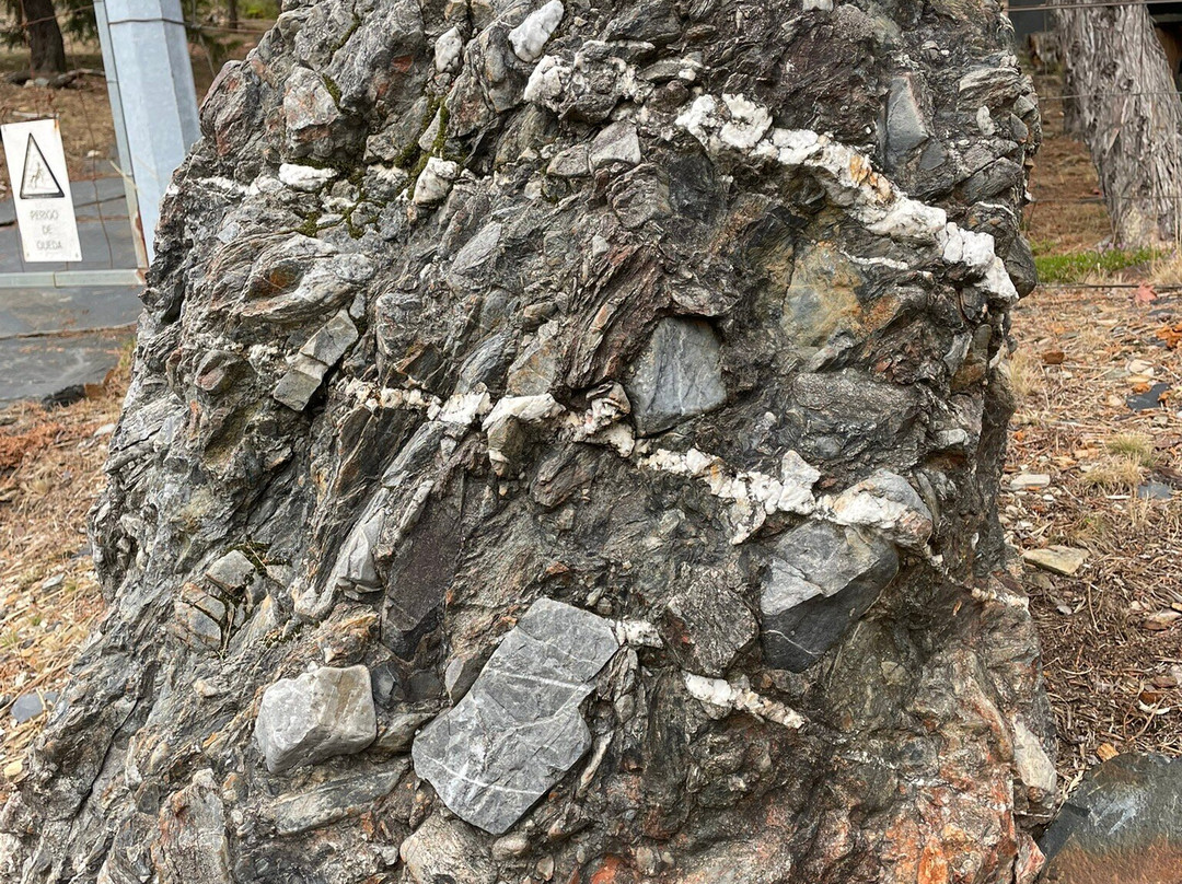 Museu Das Trilobites-阿洛卡必去景点