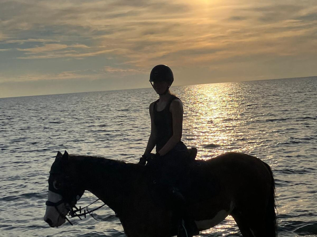 Cavallo Natura-Marina di Grosseto必去景点