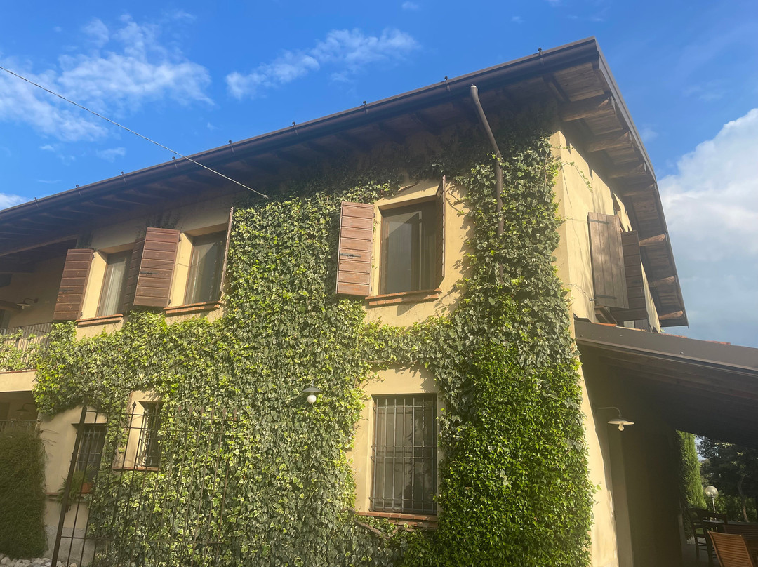 Winery Podere Selva Capuzza-代森扎诺-德尔加达必去景点