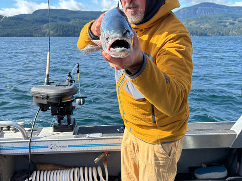 Outsider Charters Inc.-坎贝尔里弗必去景点