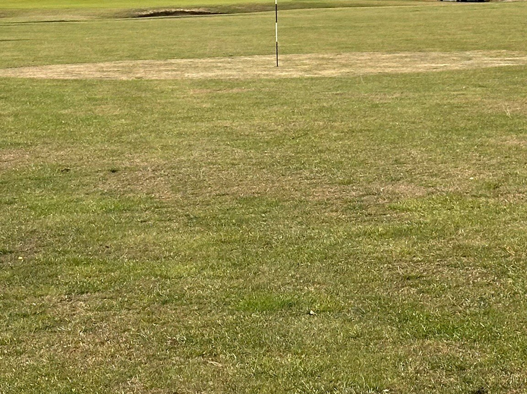 Garon Park GOLF Complex-滨海绍森德必去景点