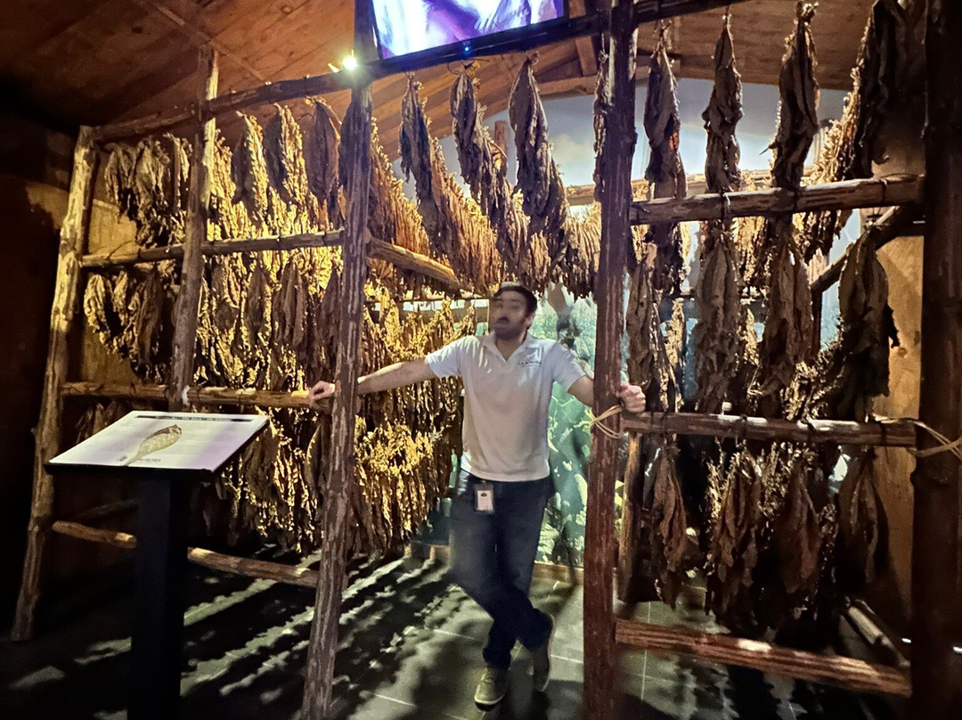 La Aurora Cigar Factory-圣地亚哥必去景点