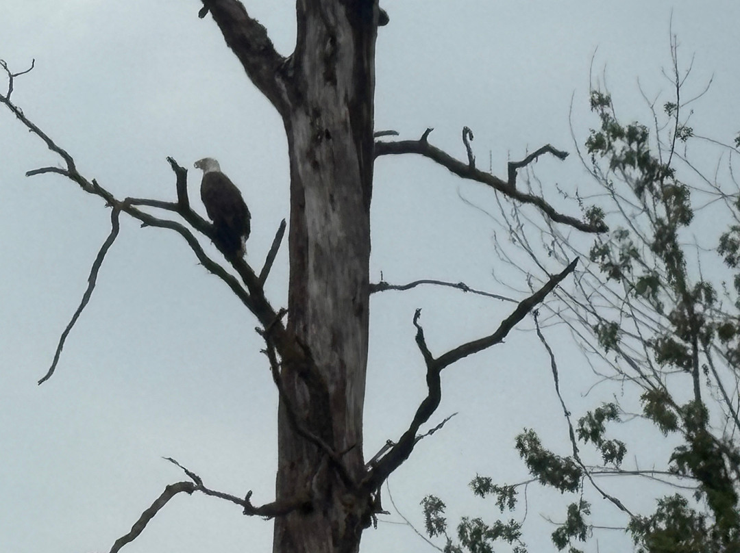 Wyalusing State Park-Bagley必去景点