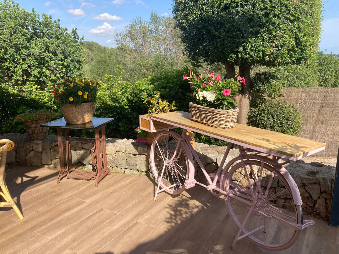 Ses Aspes Restaurant