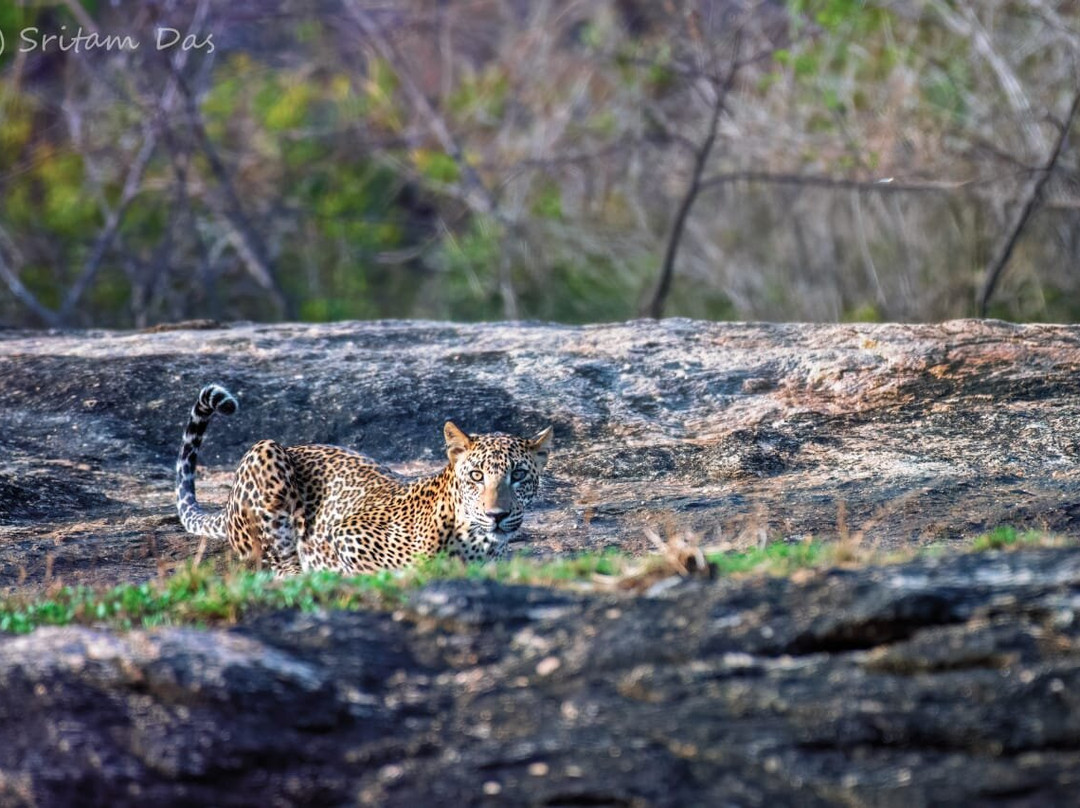 Menaka Safari-蒂瑟默哈拉默必去景点