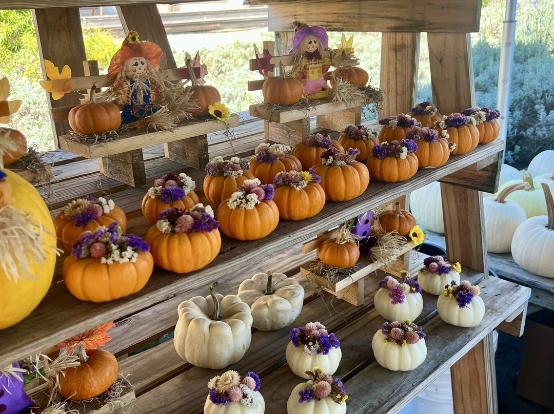 Wallingford Farm-Kennebunk必去景点