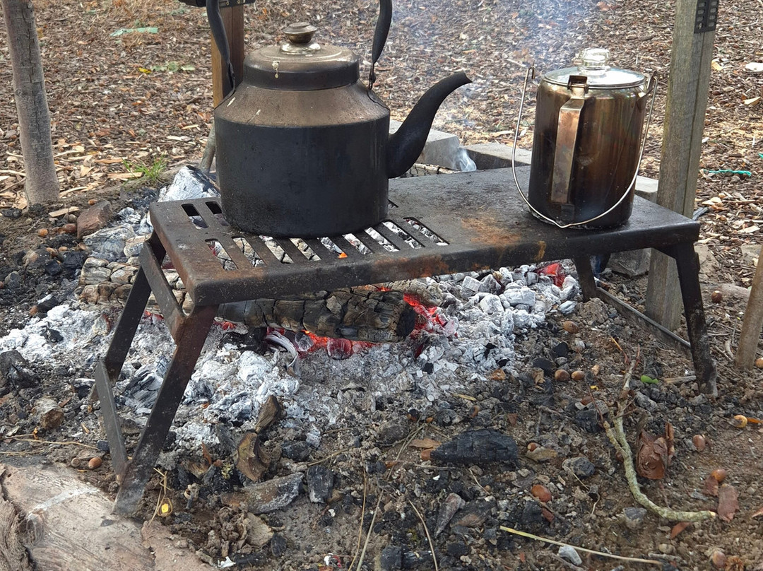 Northern Woodcraft-Holystone必去景点