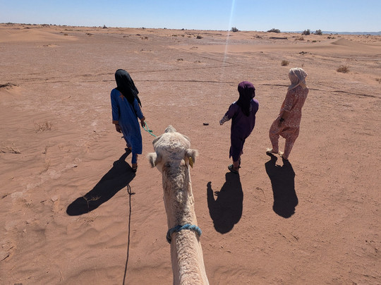 Sahara Secrets Discovery-迈哈米德必去景点