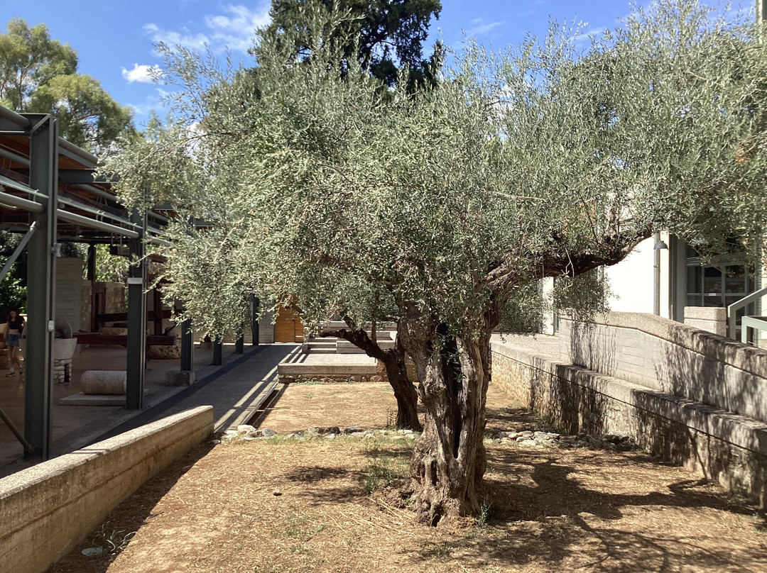 Museum of the Olive and Greek Olive Oil-Sparta必去景点