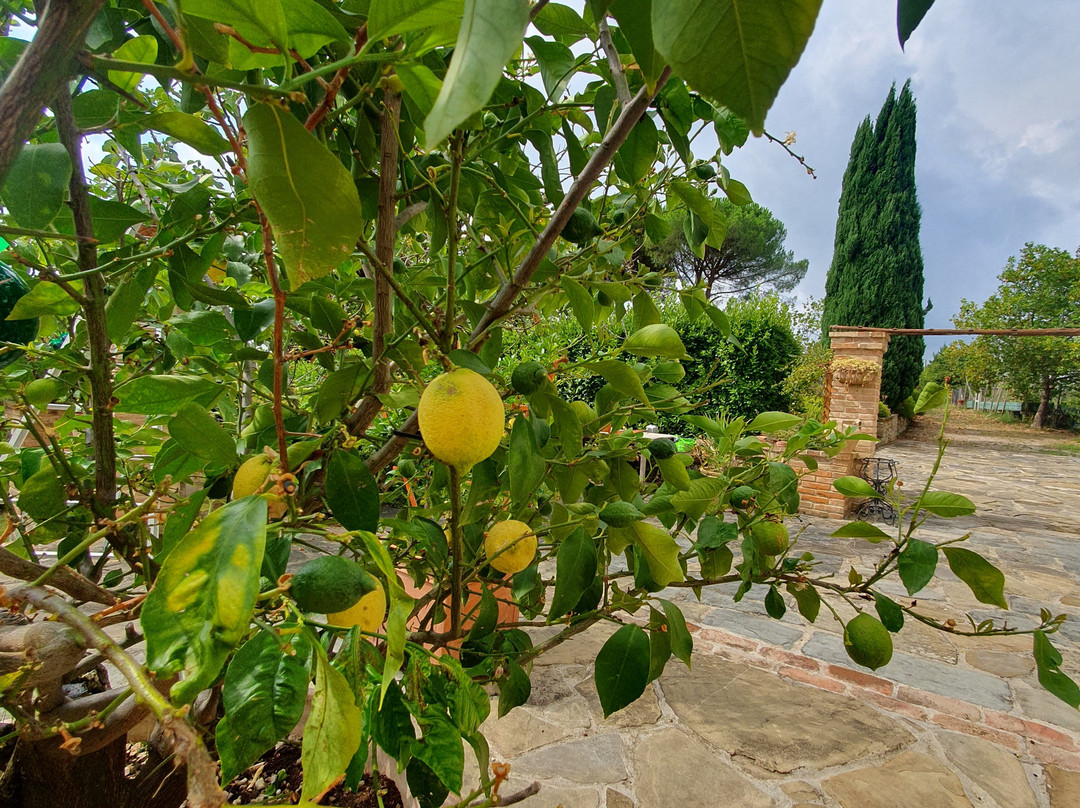 Agriturismo La Fornella Dell'Anita主图