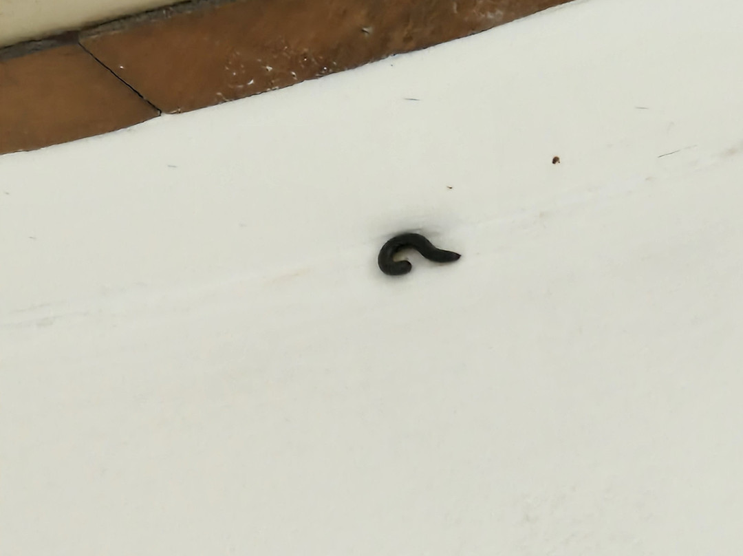 Carlton Hotel Riviera主图