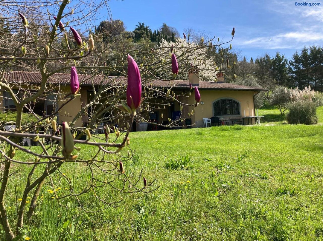 Villa Vinea Prisca B&b