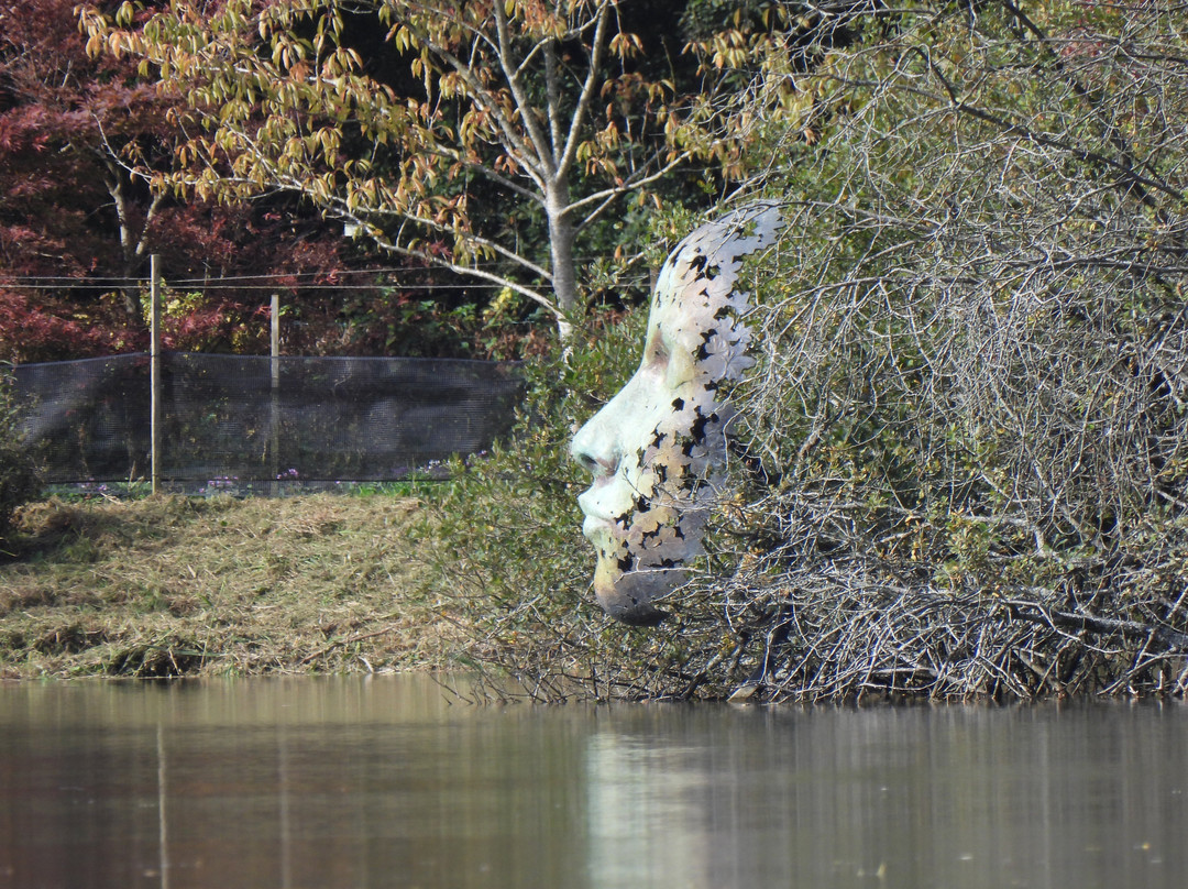 Sculpture By The Lakes-多切斯特必去景点