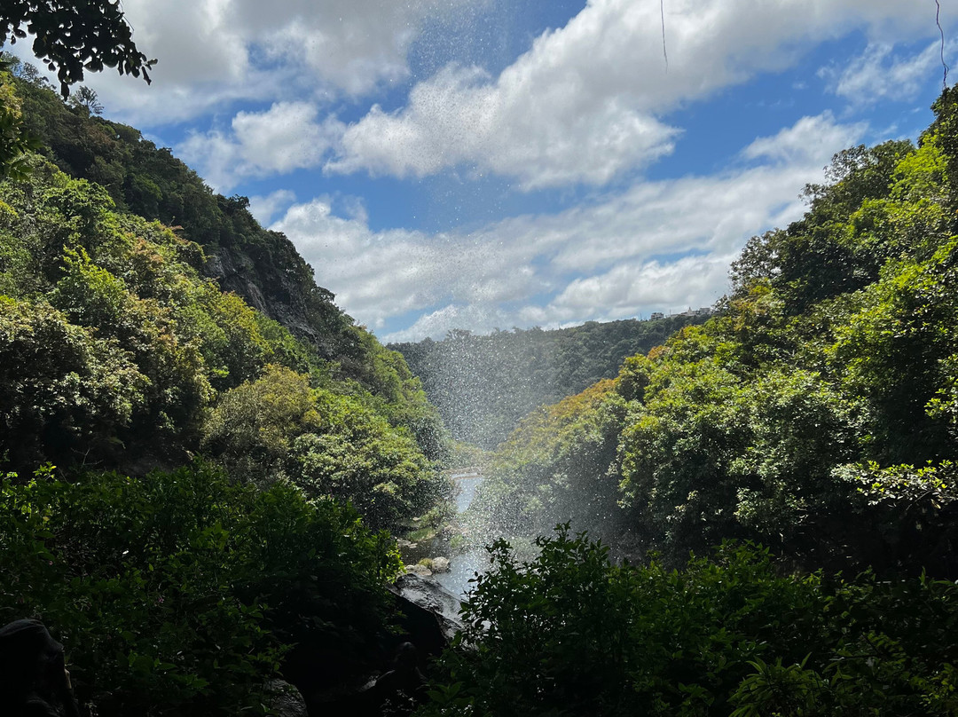 Tamarind Falls-Vacoas-Phoenix必去景点