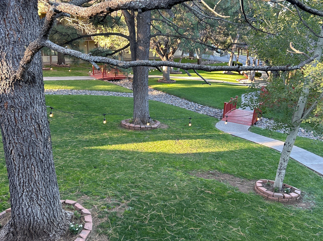 Best Western Pine Springs Inn