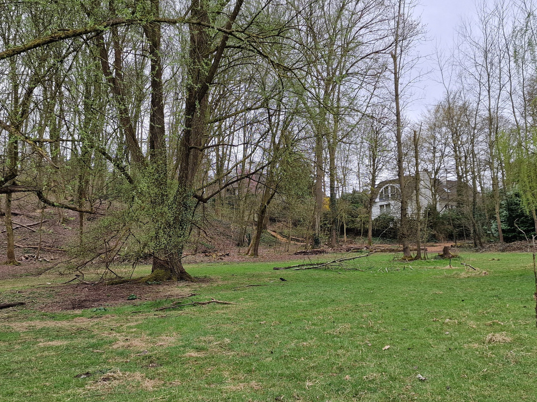 Parc de Woluwe-沃吕韦圣彼得必去景点