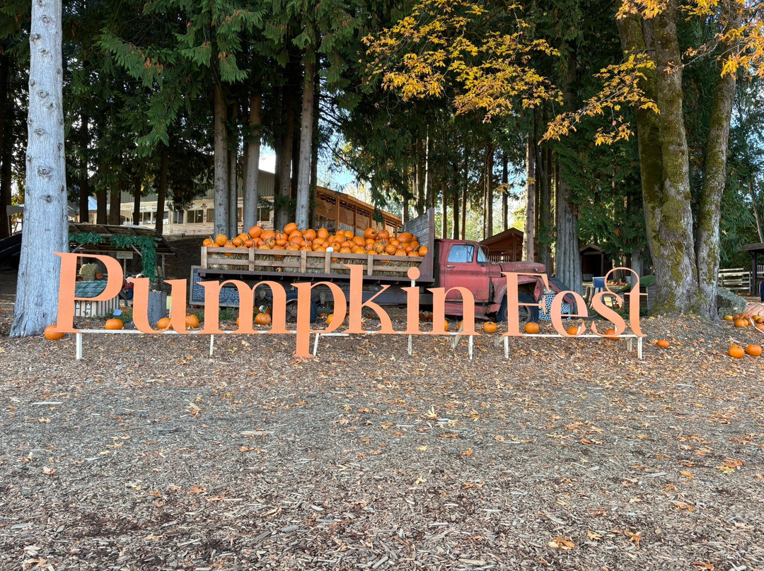 Coastal Black Estate Winery-黑溪必去景点