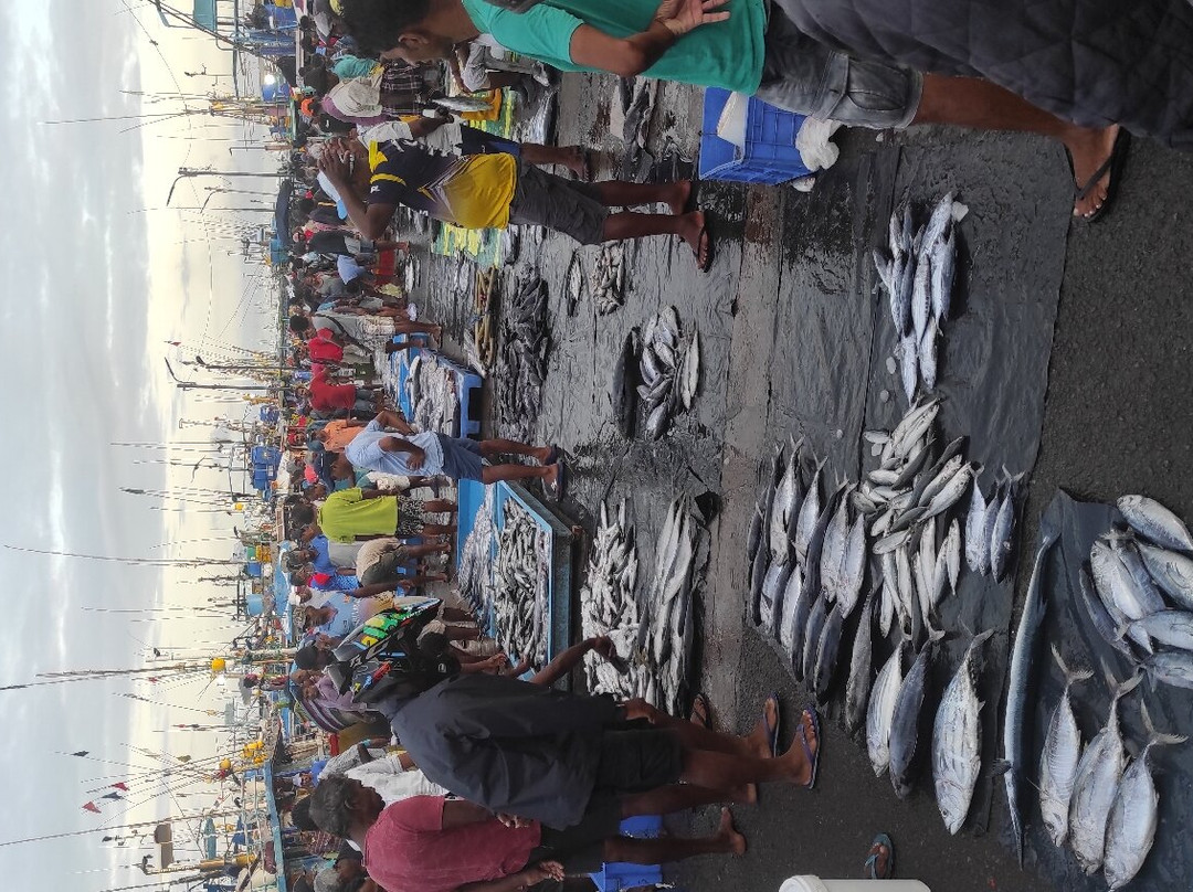 Sri Lanka Touren-因都鲁瓦必去景点