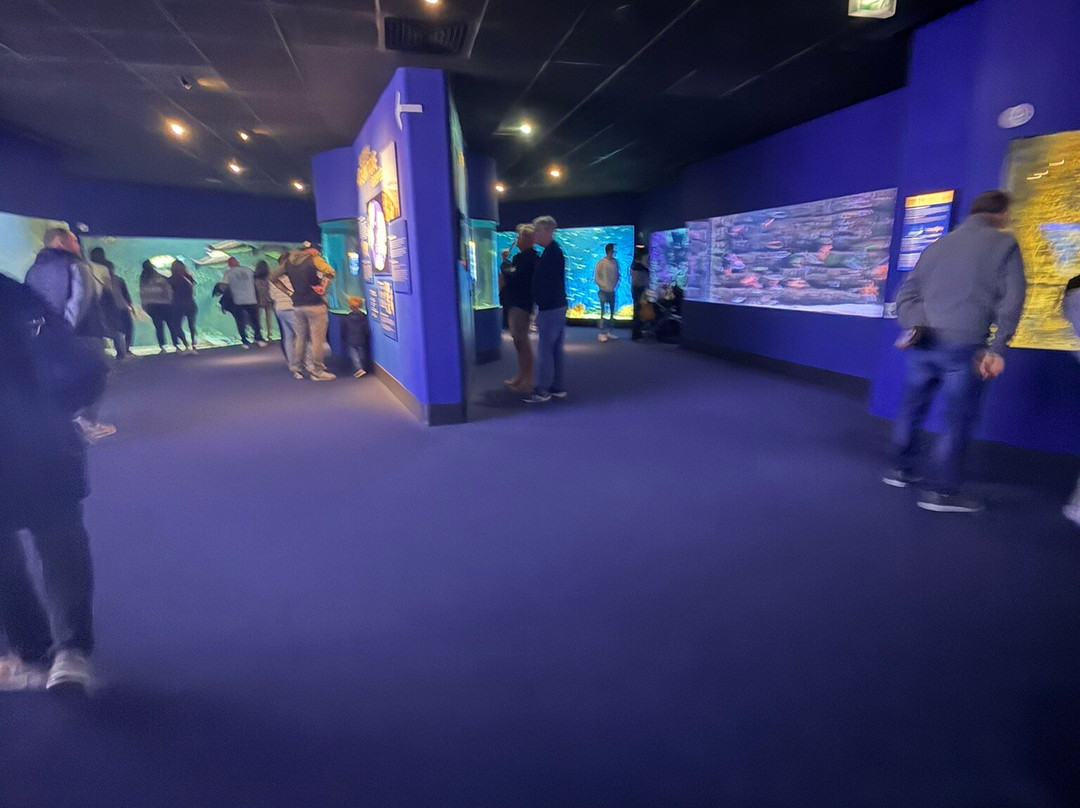 Aquarium La Rochelle-拉罗谢尔必去景点
