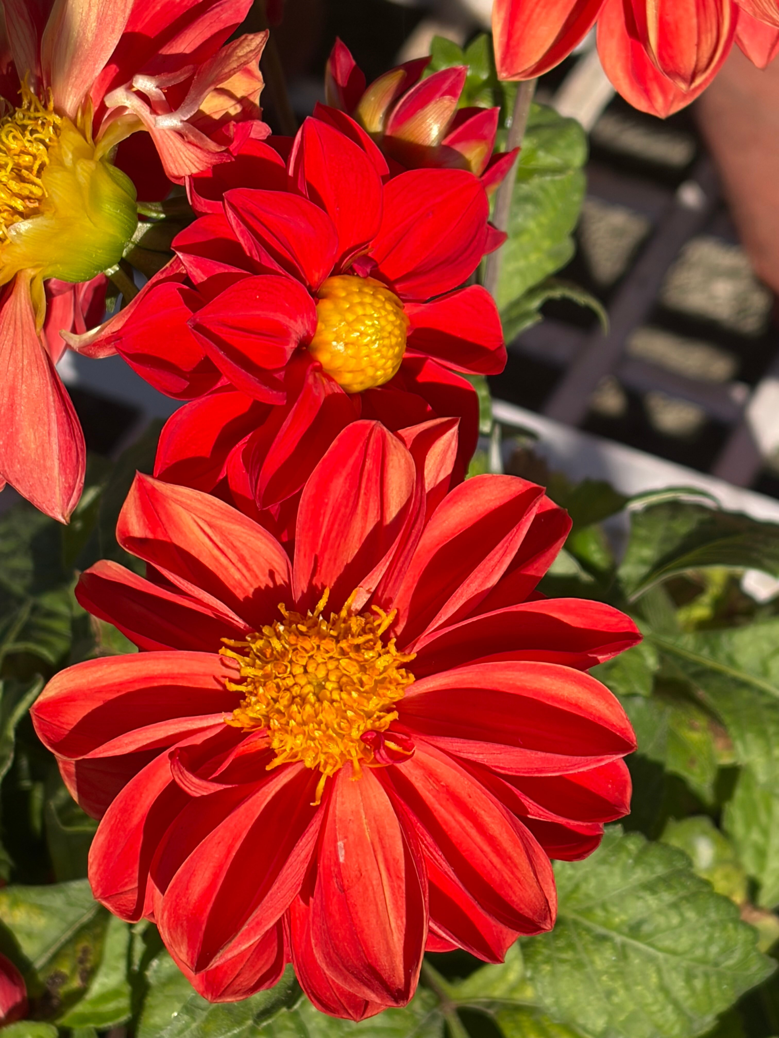 马辛德拉康达哈特俱乐部酒店-浴室