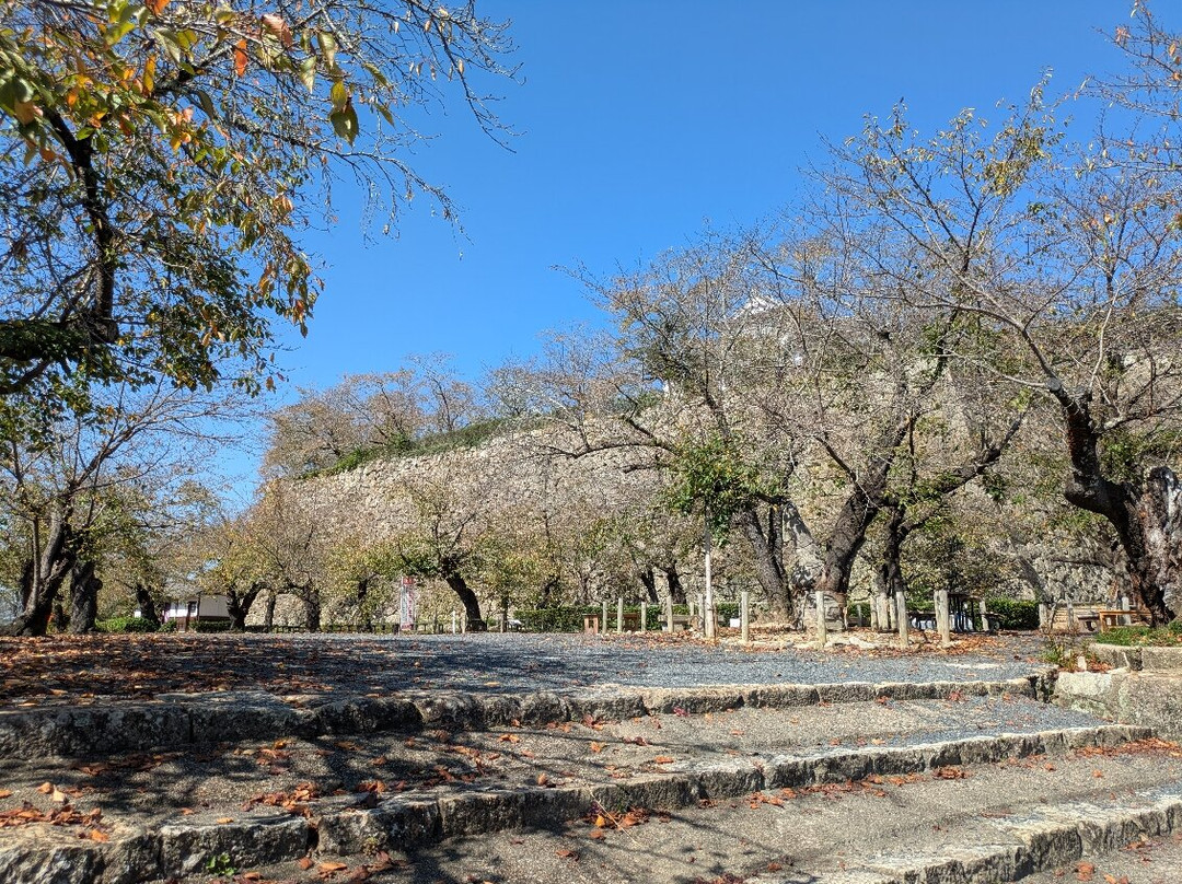 Tsuyama Castle (Kakuzan Park)-津山市必去景点