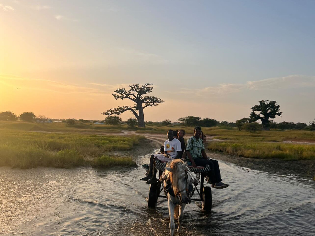 Sen Tourisme Senegal-索蒙必去景点