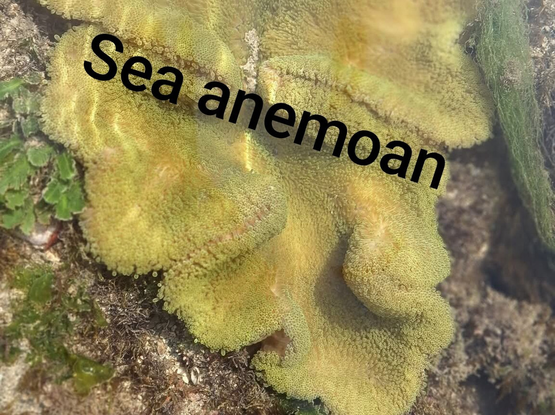 Narara Marine National Park-Devbhumi Dwarka District必去景点