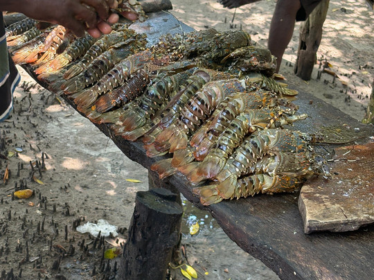 Denim Amico Kenya Safari-瓦塔木必去景点