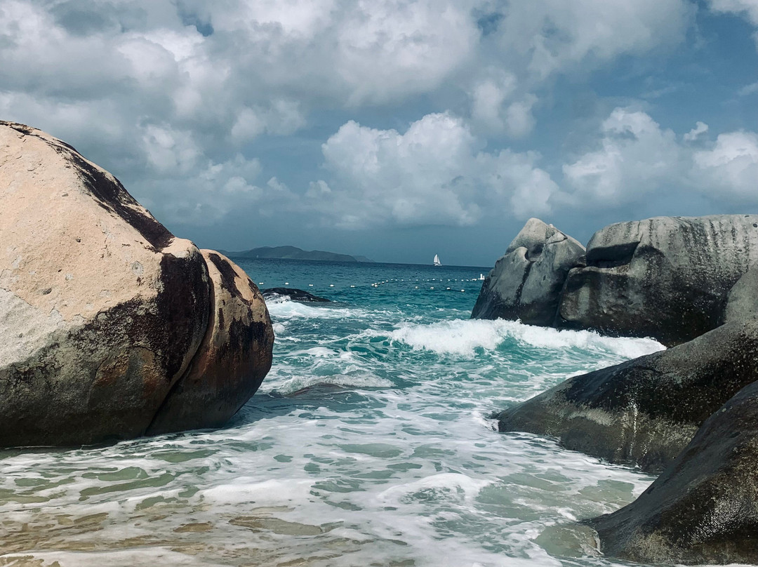 Bad Kitty & Calypso Charters-克鲁兹湾必去景点