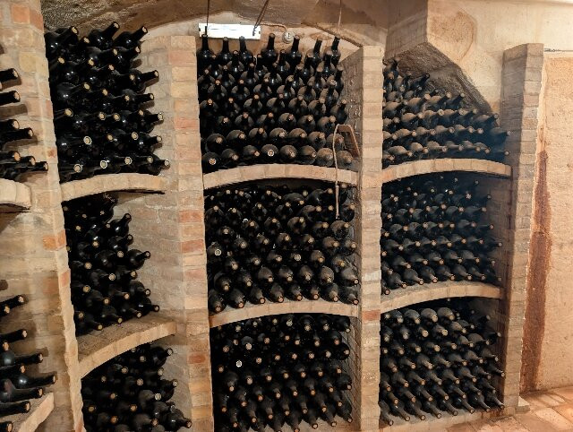 Terre di San Vito-波利尼亚诺阿马雷必去景点