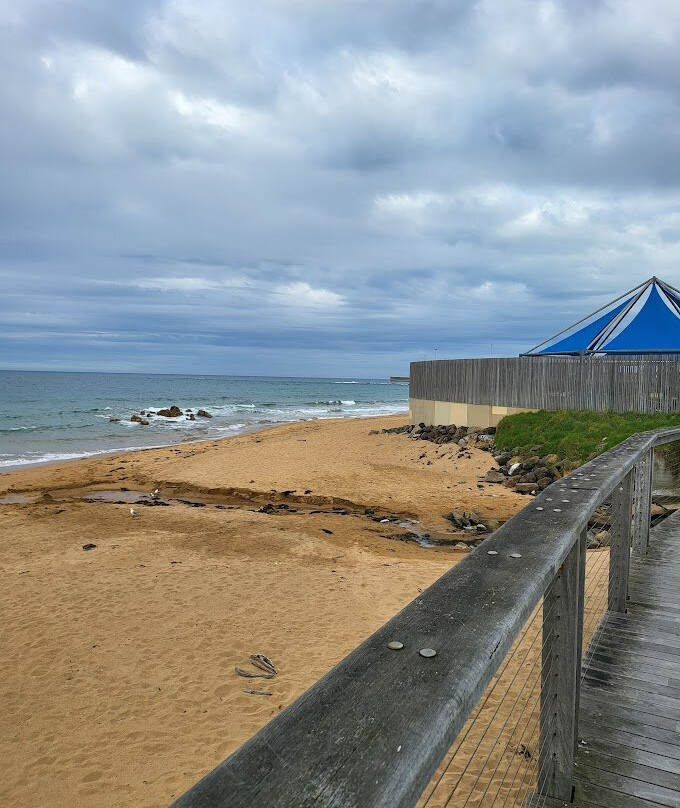Penguin Observation Centre-伯尼必去景点