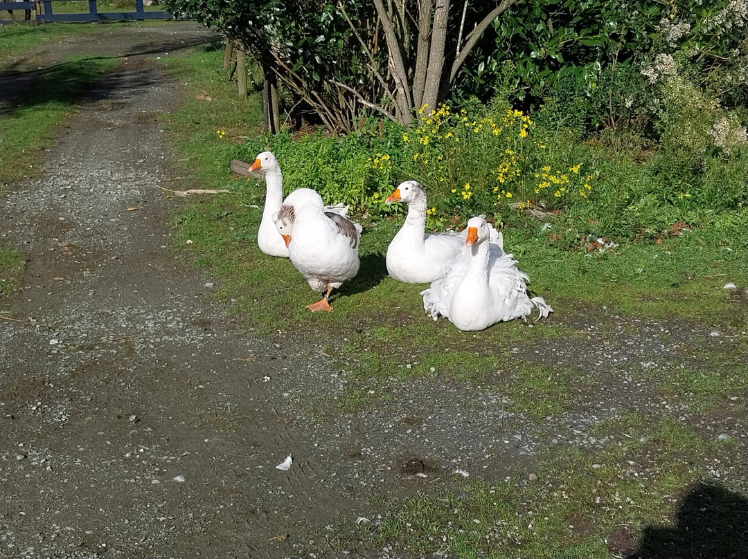 La Ferme Extraordinaire-Donges必去景点